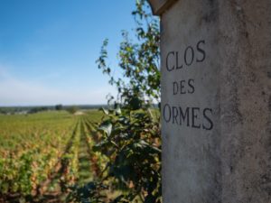 Visite de Vignoble- Clos des Ormes Crédit Photo: Alexandre Bouhand